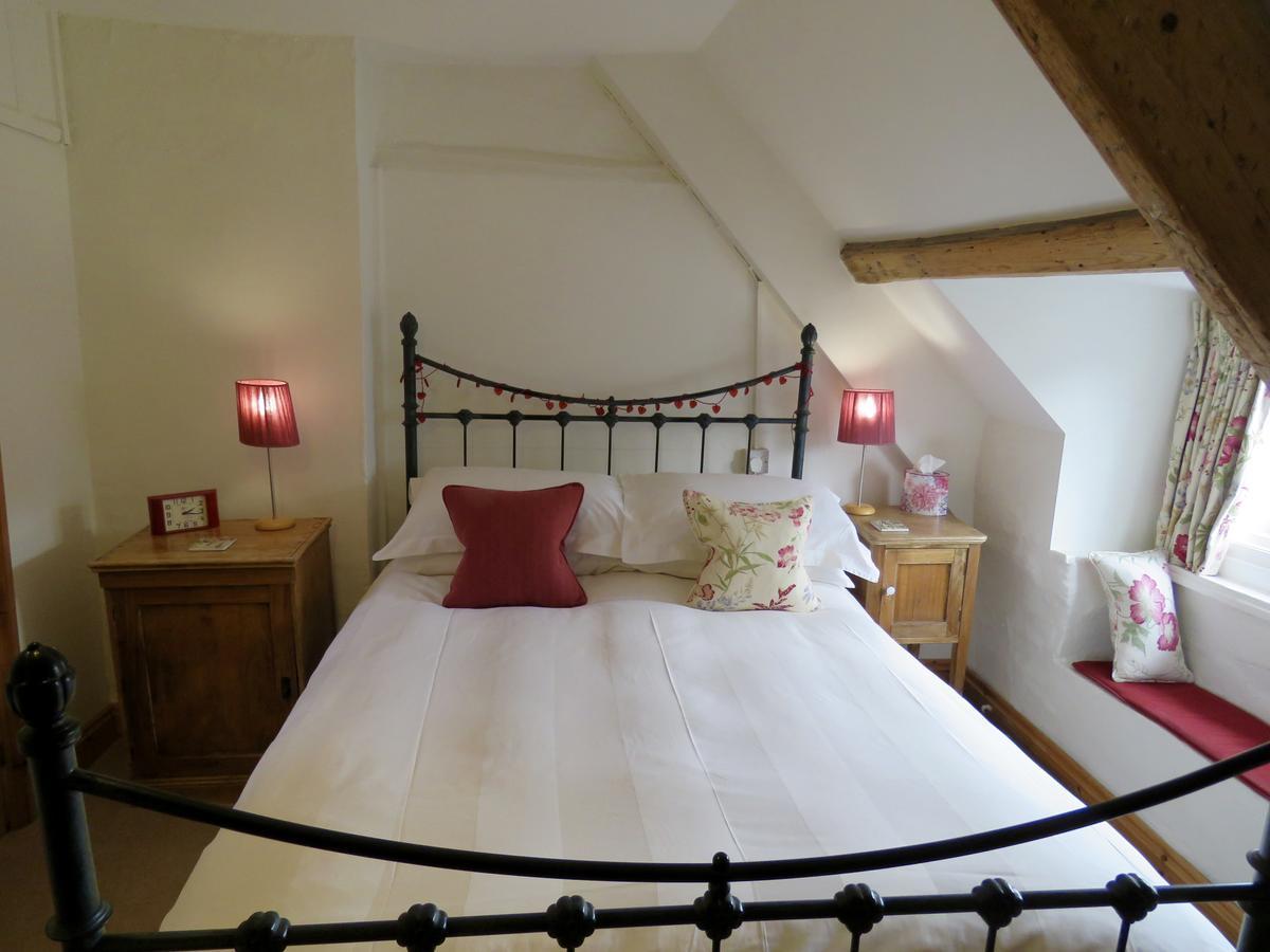 Cyntwell Guest Accommodation Padstow Exteriör bild